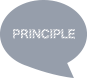 PRINCIPLE